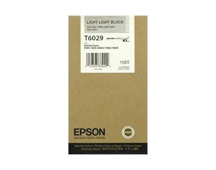 Tusz Epson T6029, C13T602900 (Light Black)