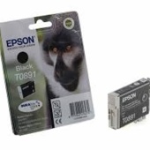 Tusz Epson T0891, C13T08914011 (czarny)