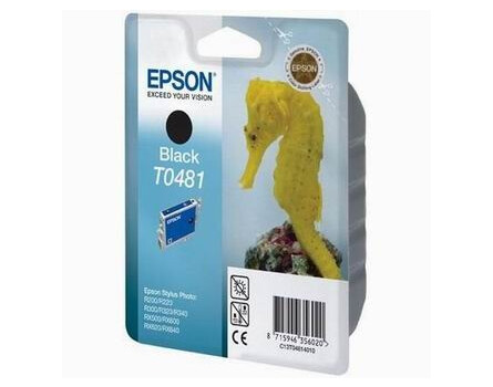 Tusz Epson T0481, C13T04814010 (czarny)