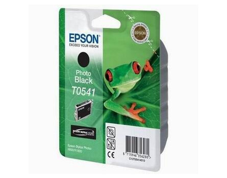 Epson T0541 czarny Zdjęcie 13 ml dla Stylus Photo R800 / R1800 - Oryginalne