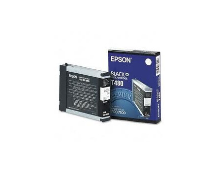 Tusz Epson T480, C13T480011 (czarny)