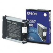 Tusz Epson T480, C13T480011 (czarny)